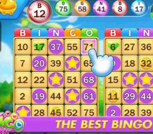online bingo casinos review